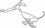 Corriendo Galgo Windhond Greyhound Engels Spellen Woord Lopende sketch template