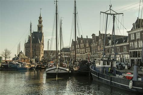 ferienresort hoorn nahe den duenen europarcs koningshof