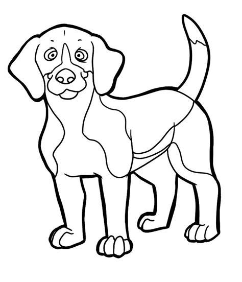 dog beagle coloring pages  print printable shelter dog coloring