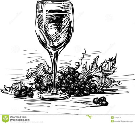 glass  wine  grapes stock vector illustration  sketch