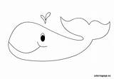 Whale Coloring Kids Pages Colouring Coloringpage Eu Animal Visit sketch template