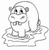 Hippo Coloring Pages Hippopotamus Color Kids Colouring Animals Printable Cartoon Print Drawing Outline Cute Animal Sheet Getdrawings sketch template
