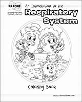 Respiratory System Coloring Pages Drawing Diagram Color Clipart Printable Library Popular Getdrawings Template Getcolorings Science Circle sketch template