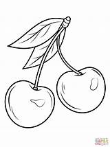 Cherry Coloring Pages Printable Template sketch template