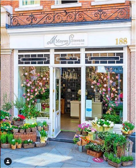 coolest flower shops   world flowers  melbourne