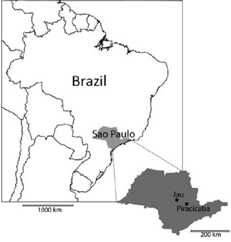 Map Of Brazil Highlighting The State Of São Paulo In The