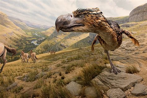 terror birds  hands buscar  google prehistoric prehistoric