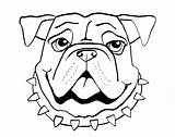 Bulldog Dog Drawing Draw Face Easy Bull Cute Sketch Drawings English Simple Puppy Dogs Sleeping Long Bulls Chicago Logo Smart sketch template