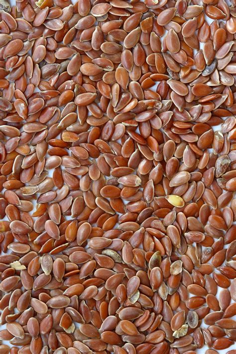semi  lino  usarli  cucina proprieta  benefici vegolosiit rimedi naturali
