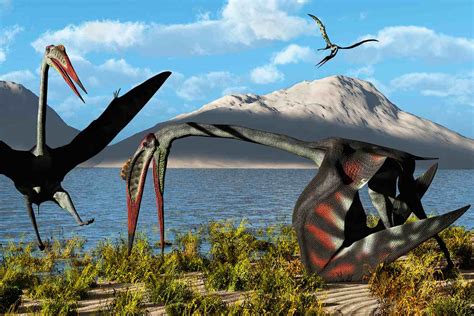 datos sobre quetzalcoatlus el pterosaurio mas grande del mundo