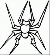 Spider Coloring Pages Printable Widow Wolf Spiders Kids Cute Drawing Bus Little Designlooter Snakes Plane Try Marvel 1191 77kb Bestcoloringpagesforkids sketch template