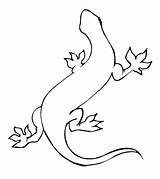 Lizard Coloring Pages Printable sketch template
