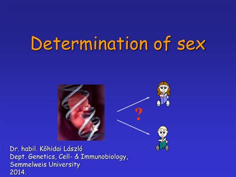 Ppt Determination Of Sex Powerpoint Presentation Free Download Id