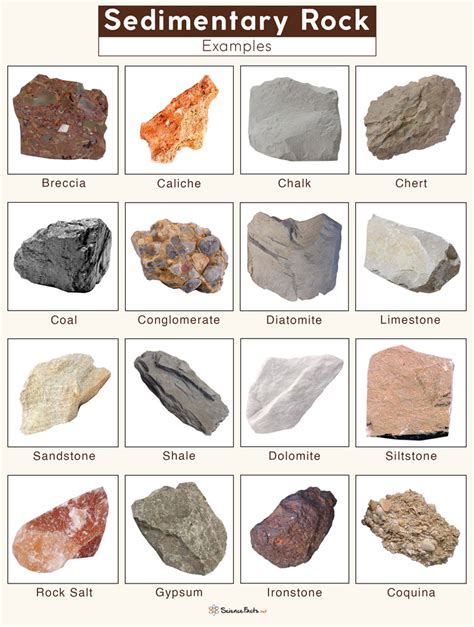 sedimentary rocks definition formation types examples
