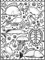 Mollusk Coloring Pages Color Animal sketch template