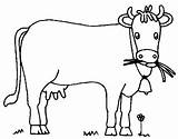 Coloriage Vache Vaca Vacas Mucca Colorat Pintar Vacuta Imagini Colorare Aprenden Divierten Juegan Disegno Vitel Plansa Fisa Planse Kuh Ausmalbild sketch template