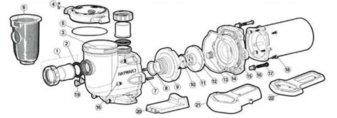 hayward  series pump parts diagrams full rated