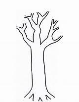 Tree Template Trunk Printable Coloring Pages sketch template