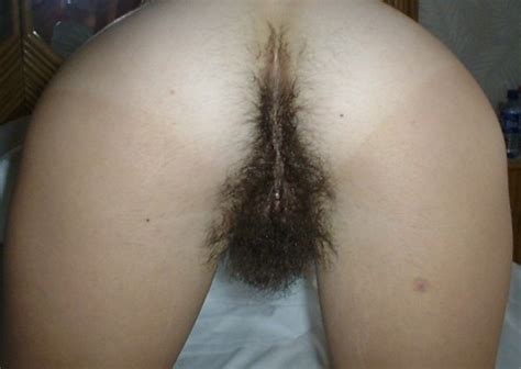 From The Back Hairy Pussy Luscious