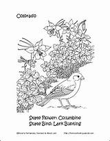 Colorado Coloring Designlooter Bird Flower State 392px 11kb sketch template