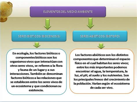 Ecosistema De La Selva