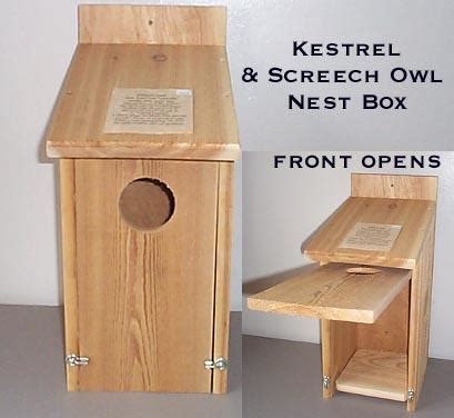 kestrel nesting box   birds wildlife