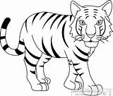 Tiger Outline Clipart Clip Bengal Drawing Animals Stripped Kids Face Cartoon Tigers Coloring Sketch Classroom Kid Getdrawings Animal Cliparts Graphics sketch template