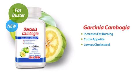 labrada garcinia cambogia review what you need to know the healthier man dedicated to mens