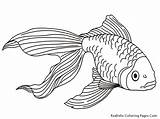Fish Coloring Detailed Pages Realistic Getcolorings Printable Tropical sketch template