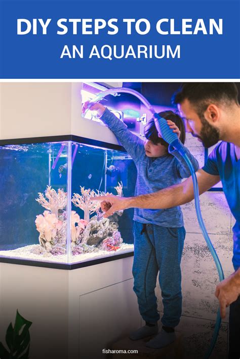 straussdesignworks    clean  fish tank