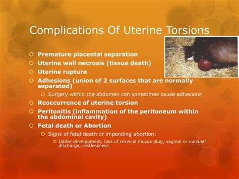 uterine torsion  mares powerpoint  id