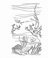 Koralowa Rafa Kolorowanki Ozean Diving Alam Dzieci Bermain Mewarna Bebas Diver Wydruku sketch template