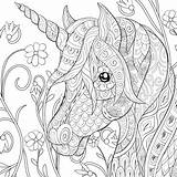 Colorare Impagina Adulto Rilassarsi Dell Zen Unicorno Sveglio Cavallo Sveglia Fauna sketch template