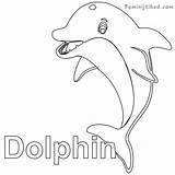 Coloring Pages Porpoise Dolphin Getdrawings Printable Getcolorings sketch template