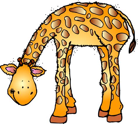 baby forest animal clipart  clipart images  clipartix