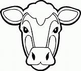 Vaca Colorat Desene Animale Domestice Planse Head Bou Vitel Vacute Imaginea Xcolorings Taur Coloring sketch template