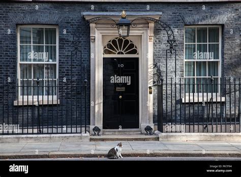 larry   downing st cat  res stock photography  images alamy