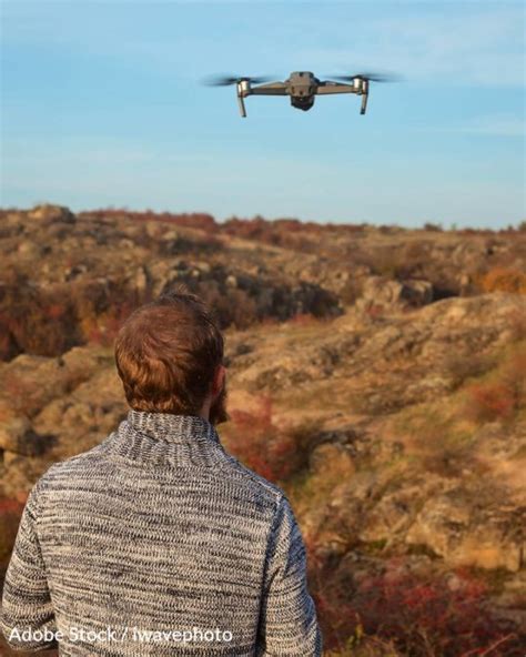 drones scare wildlife   damaging critical habitats