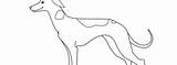 Whippet Template Dog Large sketch template