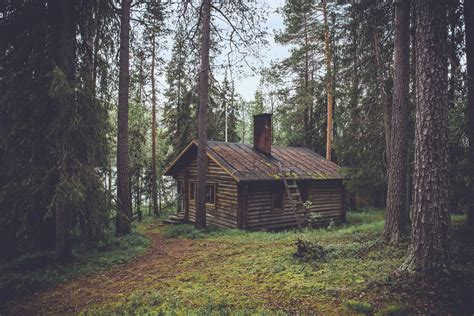 eine huette im wald bauen ist das gesetzlich erlaubt waldhilfe