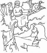 Zacchaeus Jesus Coloring Tree Bible Climbs Pages sketch template