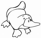 Coloring Platypus Perry Sheets Cute Pages Children Cartoon Realistic Top sketch template