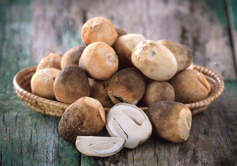 jenis jamur  aman  dikonsumsi cairo food