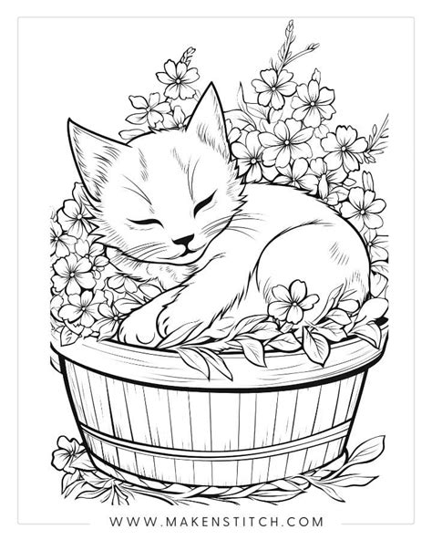 coloring pages  cute kittens margarettamace