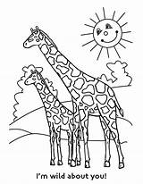 Giraffe Coloring Pages Kids Cute Colouring Printable Animal Africa sketch template