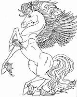 Coloring Pegasus Pages Unicorn Horse Wings Unicorns Realistic Adults Printable Colouring Kids Baby Funny Color Coloring4free Drawings Drawing Print Rearing sketch template