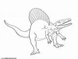 Spinosaurus Coloring Drawing Pages Realistic Printable Kids Adults Color sketch template