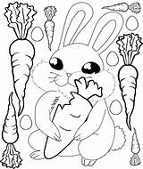 Carrot Kelinci Mewarnai Wortel Carrots Makan Rabbit Sketsa Bilby Diwarnai Anak Tk sketch template