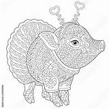 Pig Zentangle Coloring Piggy Comp Contents Similar Search sketch template