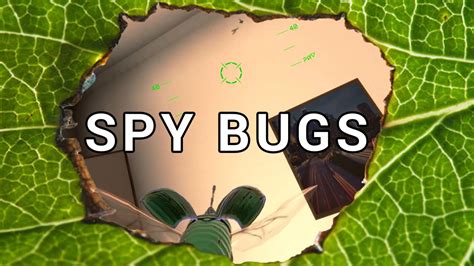 spy bugs youtube